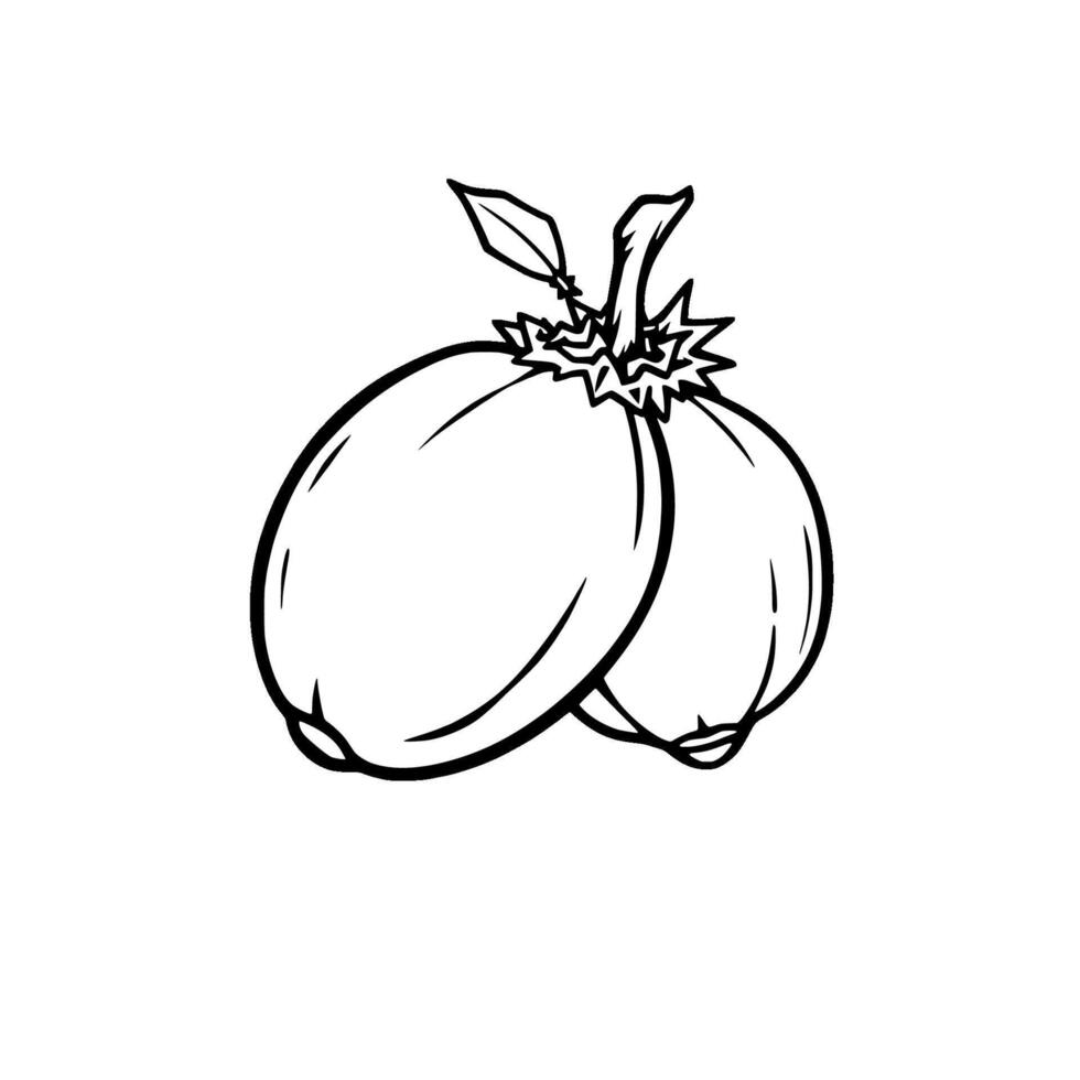 Line Drawing Of Two Round Fruits Connected At The Stem vector