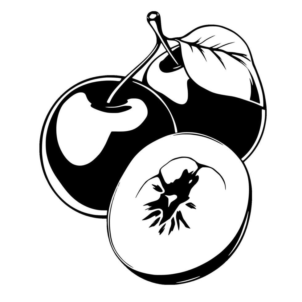 Stylized Black And White Illustration Of Plums One Halved Showing Detailed Interior vector