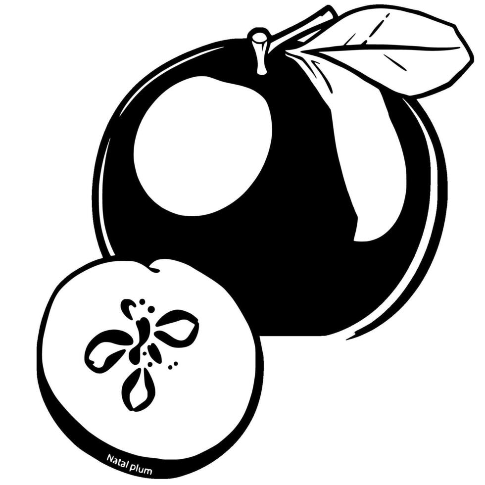 Graphic Illustration Of A Whole And Halved Natal Plum Fruit vector