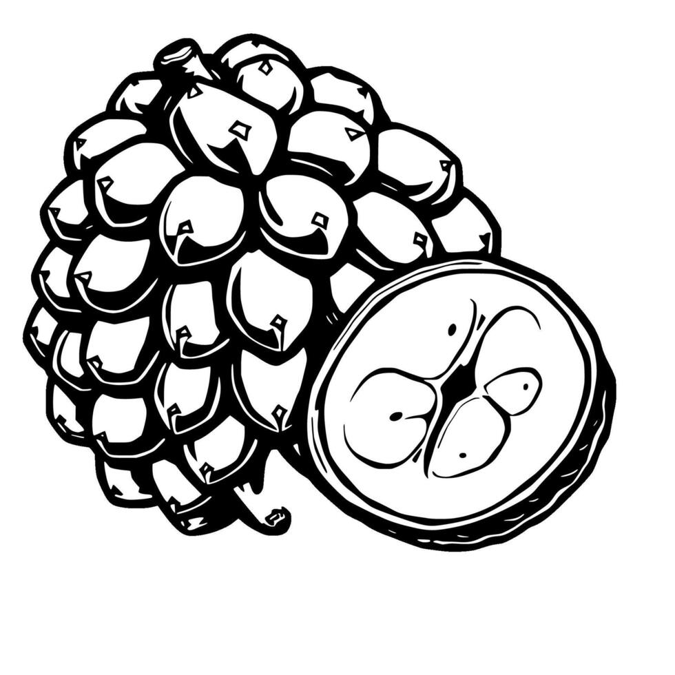 Stylized Black And White Illustration Of A Pineapple And Banana Slice vector