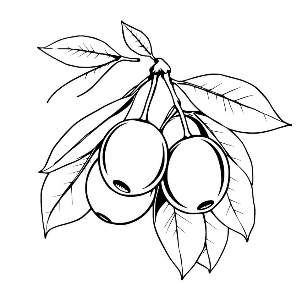 Hand-Drawn Illustration Of A Branch With Three Ripe Berries And Lush Leaves vector