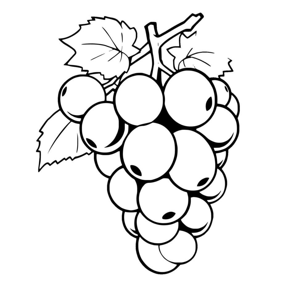A Cluster Of White Grapes With Lush Green Leaves vector
