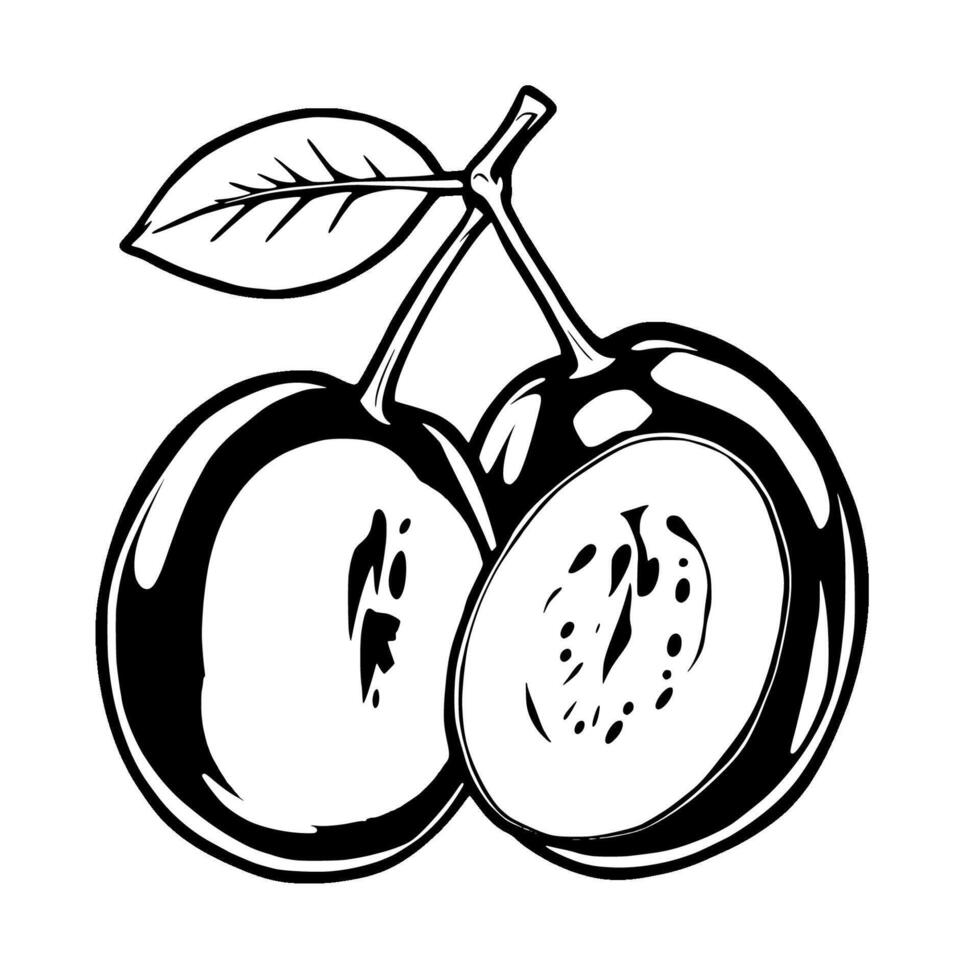 Stylish Black And White Illustration Of Two Plums One Sliced Open Showing Juicy Interior And Leaf vector