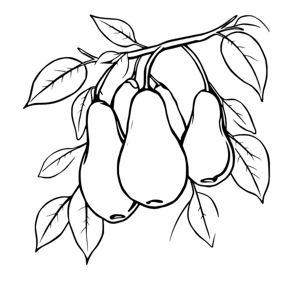 Three Ripe Pears Hanging From A Branch With Lush Leaves vector
