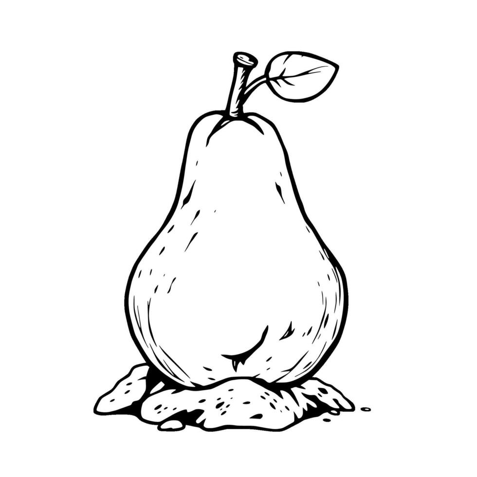 A Single Pear Resting On The Ground Line Art Illustration vector