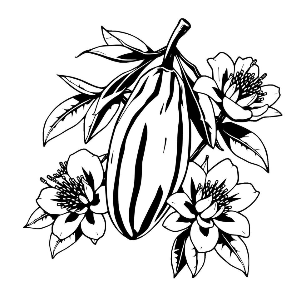 Cacao Pod with Blossoms A Detailed Black And White Illustration vector