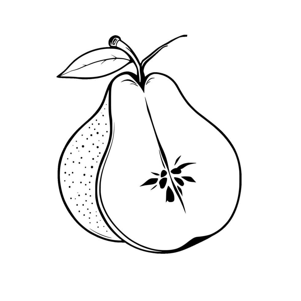 A Halved Pear Illustration Black And White Line Art Drawing Of Fruit vector