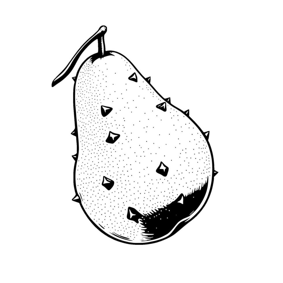 Detailed Line Drawing Of A Spiky Pear-Shaped Fruit vector