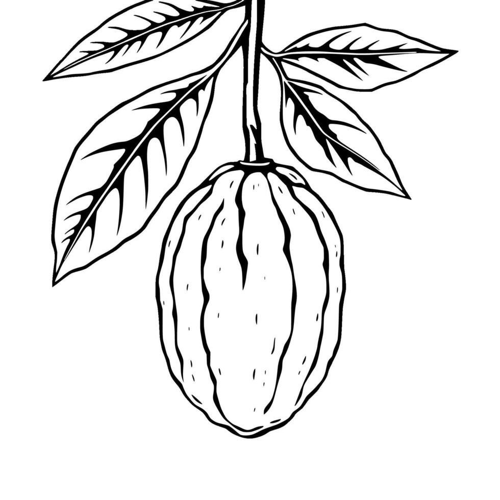 A Detailed Line Drawing Of A Single Citron Fruit On Its Branch With Leaves vector