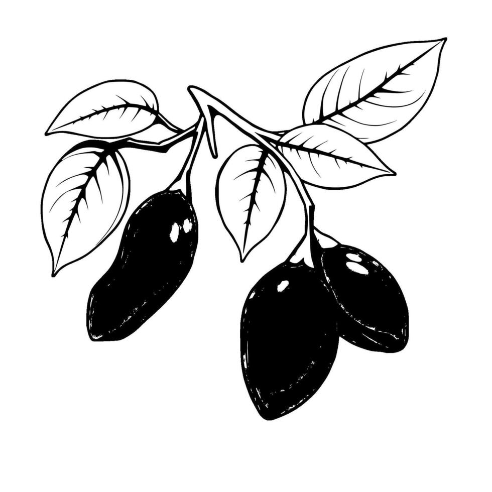 Vibrant Pink Goji Berries on Branch with Lush Green Leaves vector