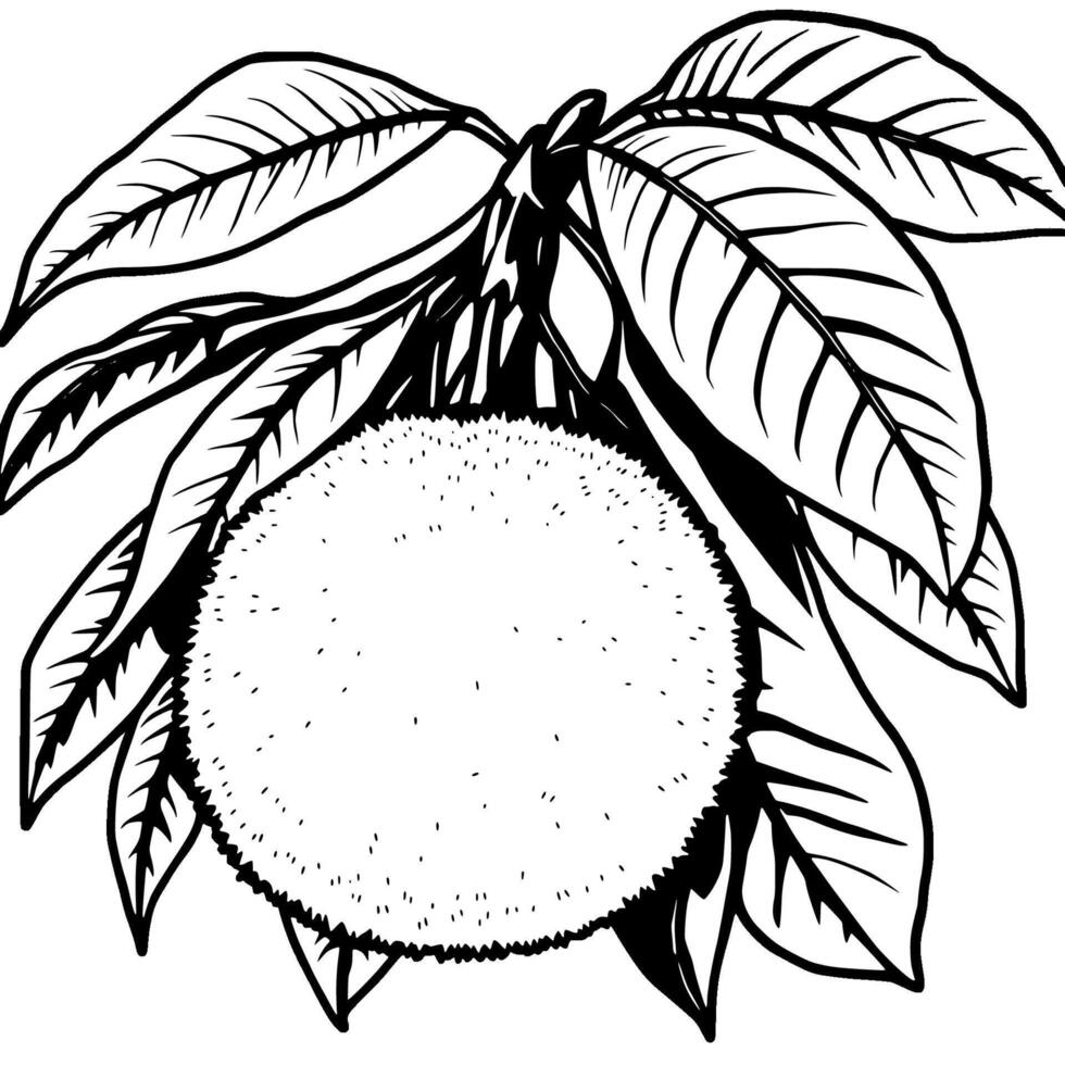 Ripe Orange Fruit Hanging From Branch With Lush Leaves vector