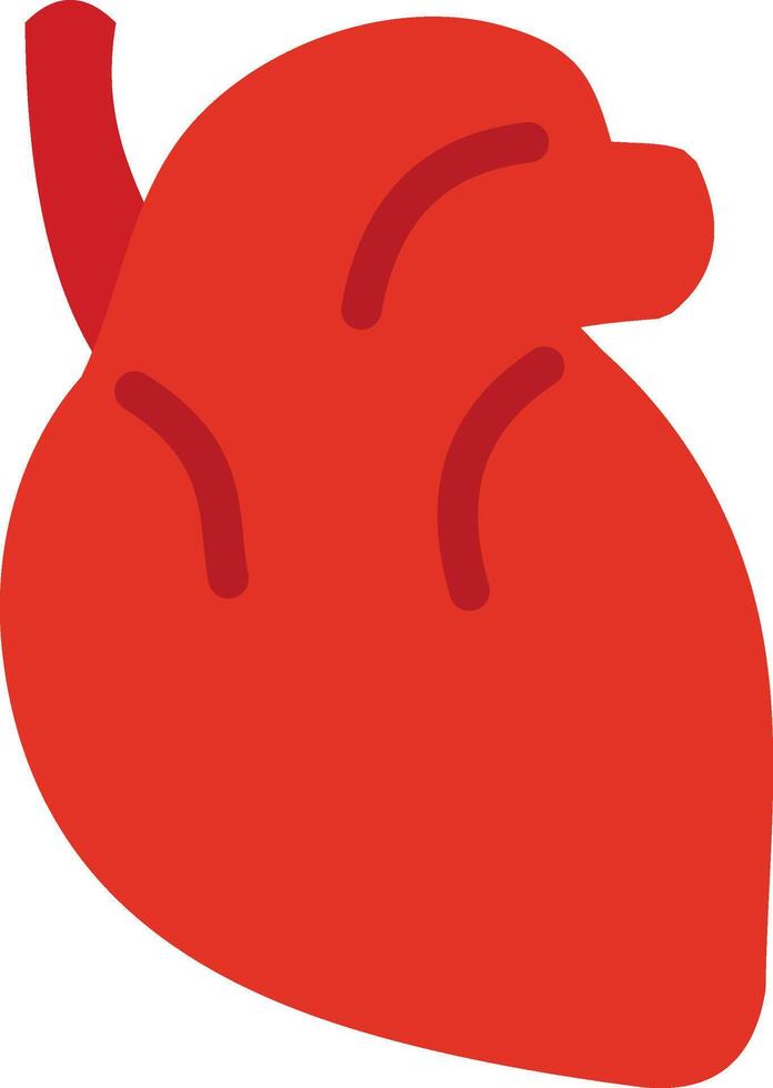 An illustration of a human heart vector