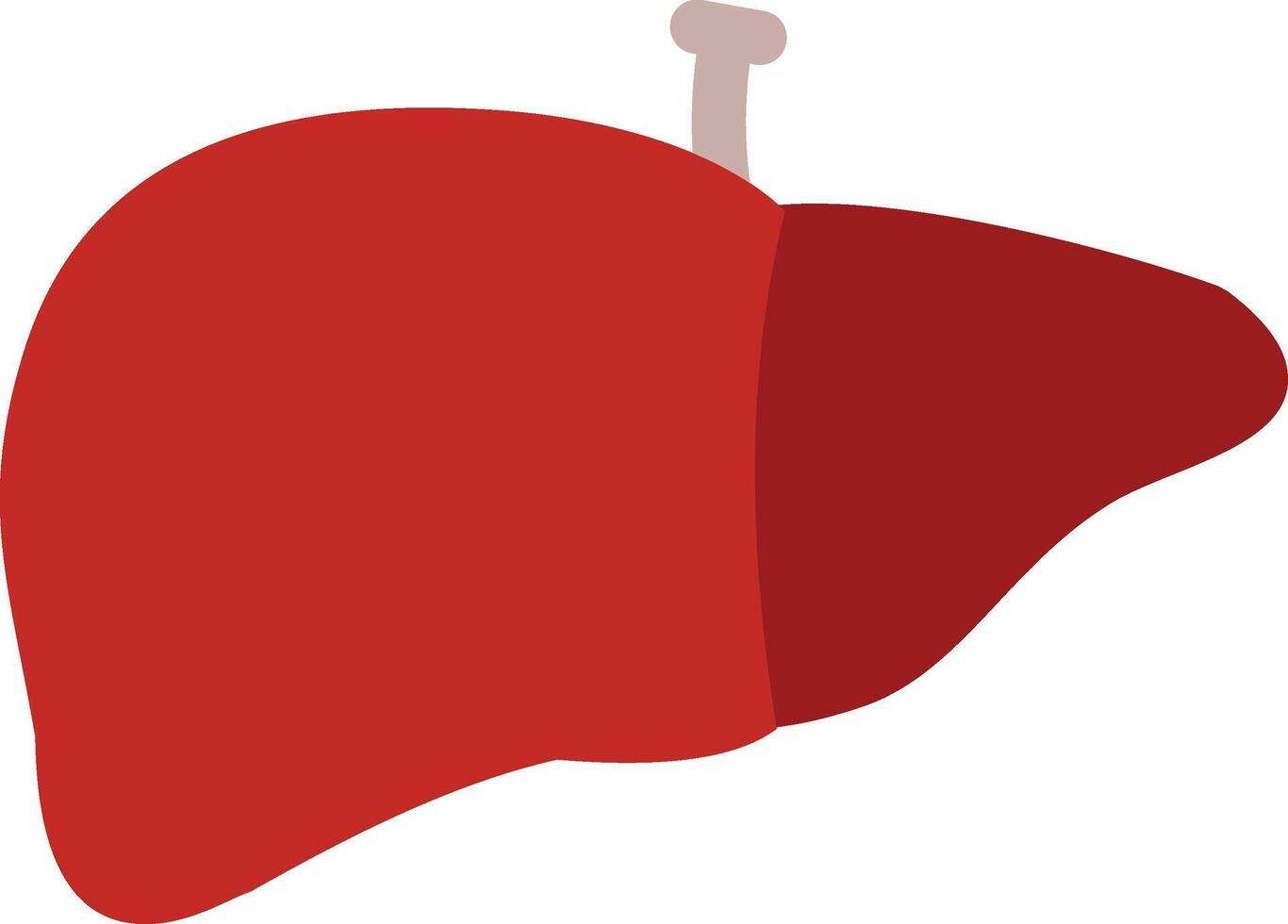 Liver icon illustration vector