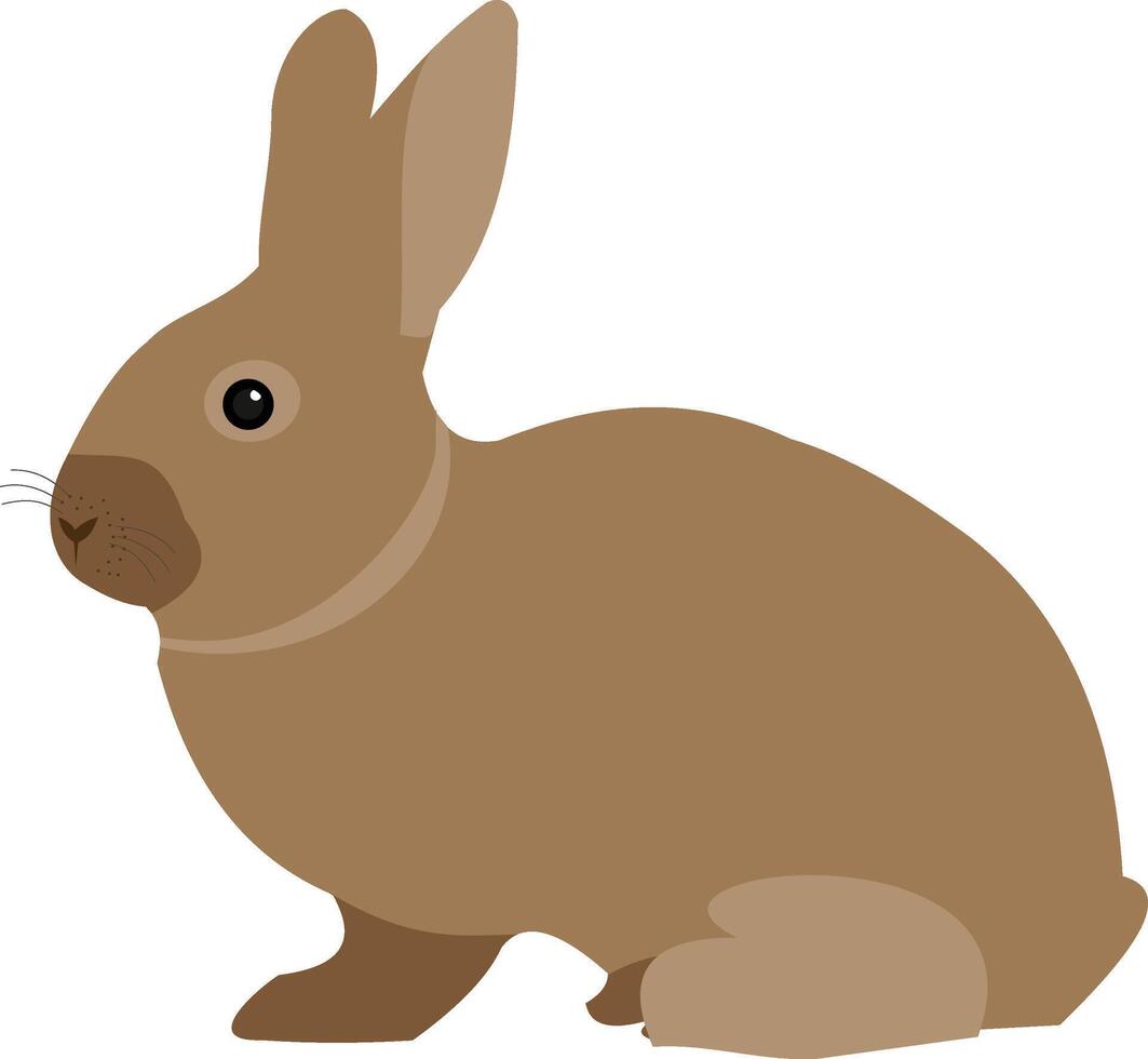 A brown rabbit sitting on a white background vector