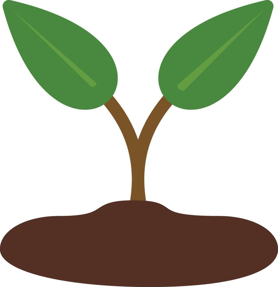 A plant with two leaves growing out of the ground vector