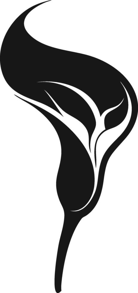 Abstract Calla Lily Flower Illustration vector