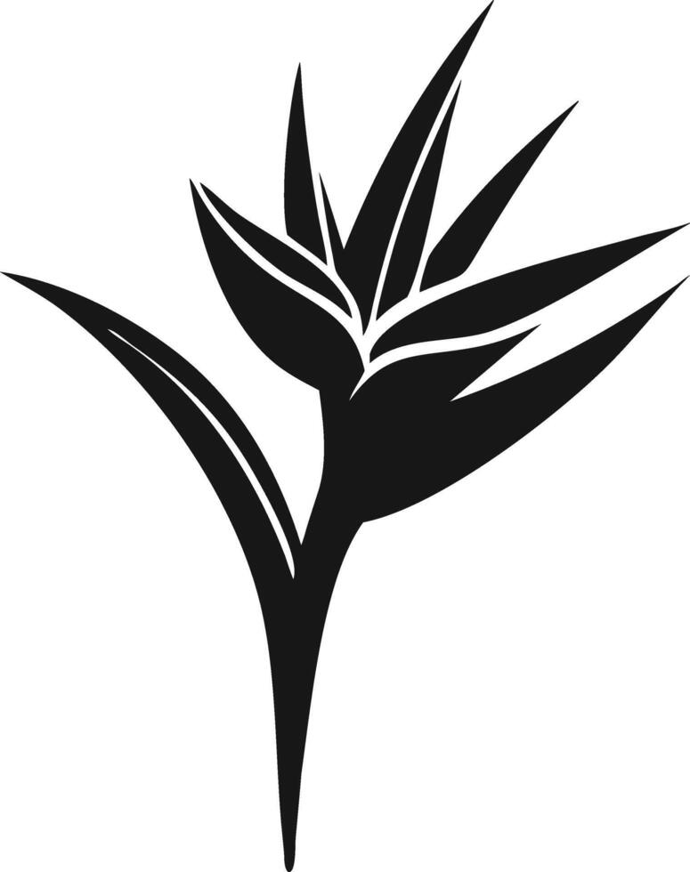 Black And White Bird Of Paradise Illustration vector
