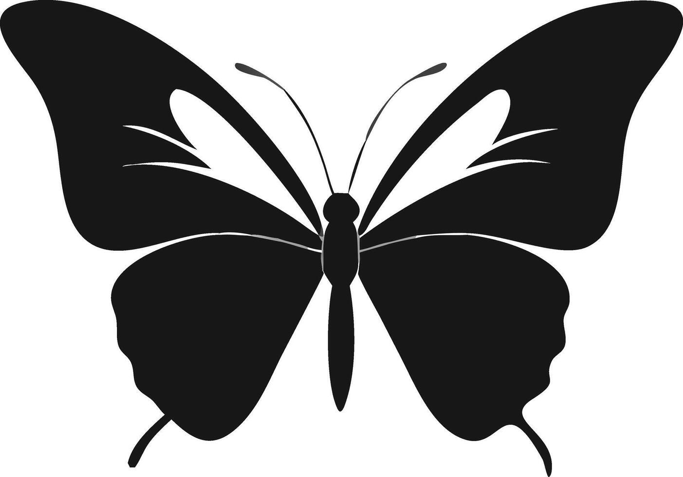 Black And White Butterfly Simple Illustration vector