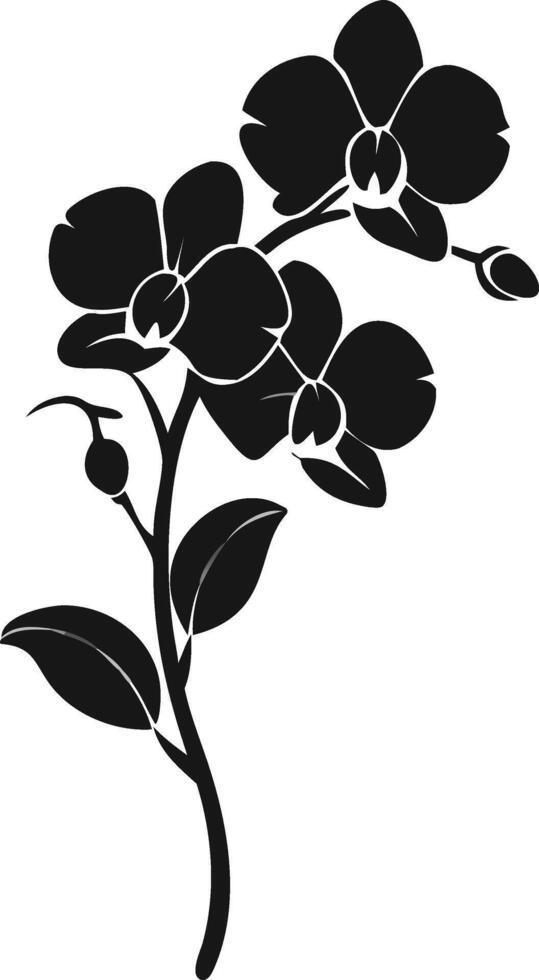 Black Orchid Flower Design Graphic Element vector