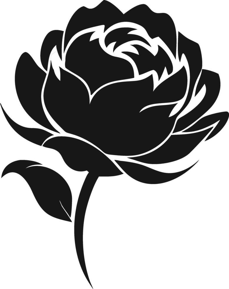 Black And White Rose Illustration Design vector