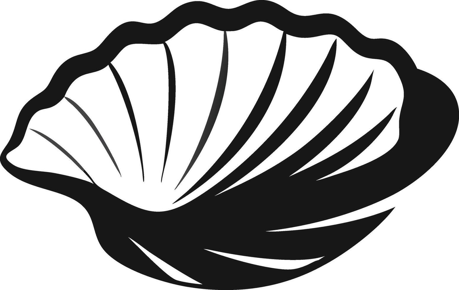 Black And White Seashell Graphic vector