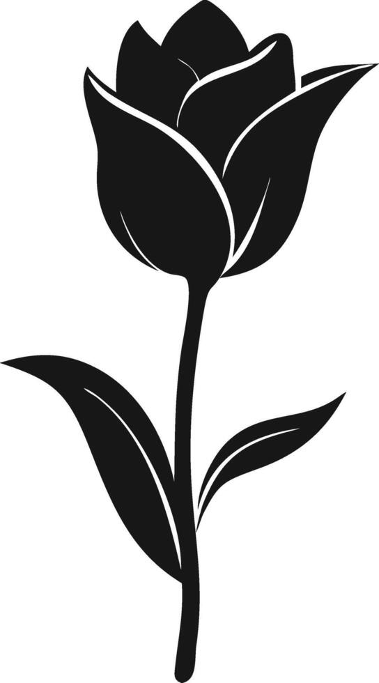 Black And White Rose Illustration vector