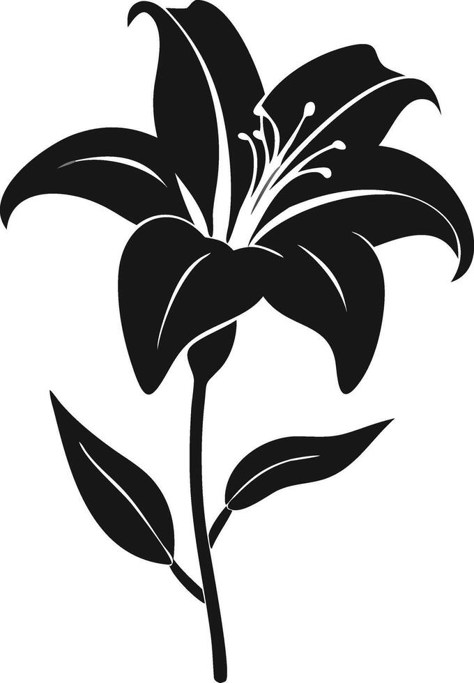 Black And White Lily Flower Illustration vector