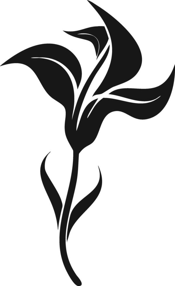 Elegant Black And White Flower Illustration vector