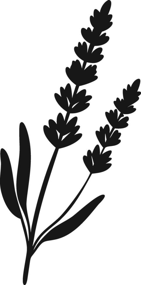 Lavender Branch Illustration Black And White vector