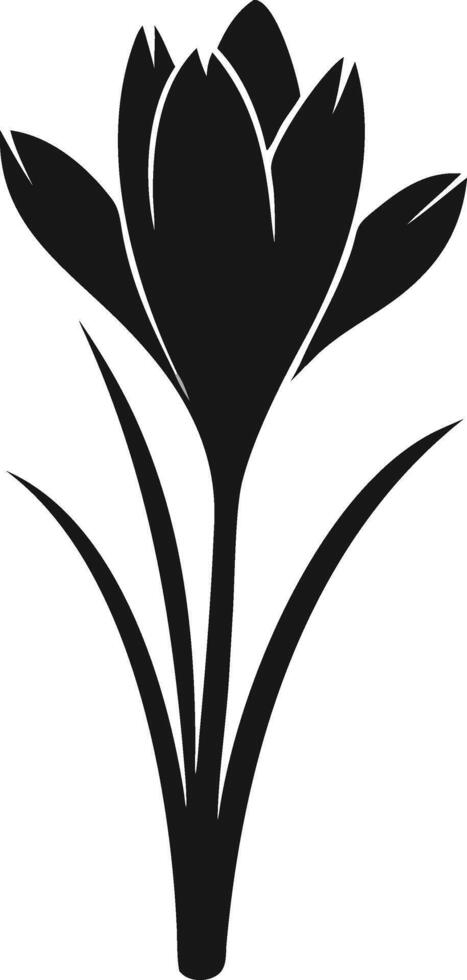 Simple Black Crocus Flower Illustration vector