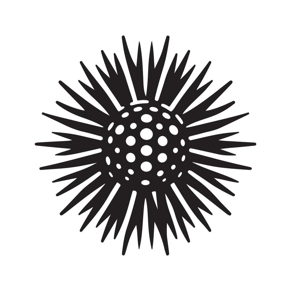 Sea Urchin Black Silhouette for Marketing vector