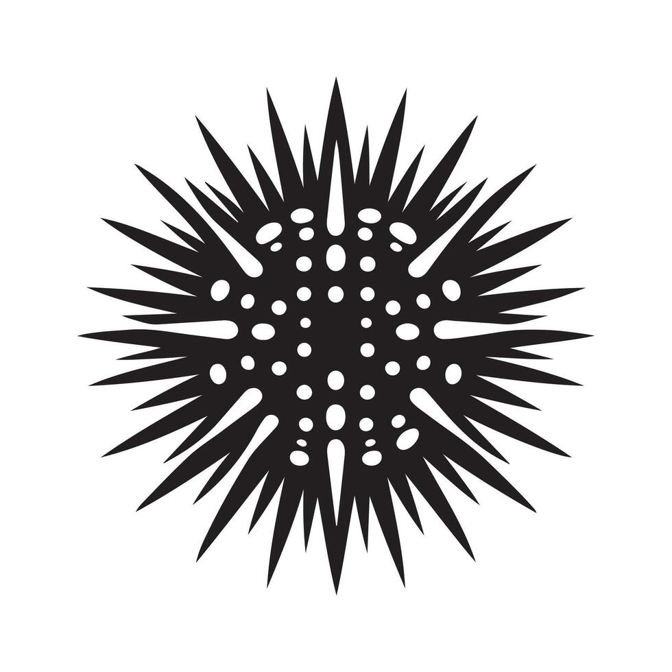 High-Resolution Sea Urchin Black for Websites vector