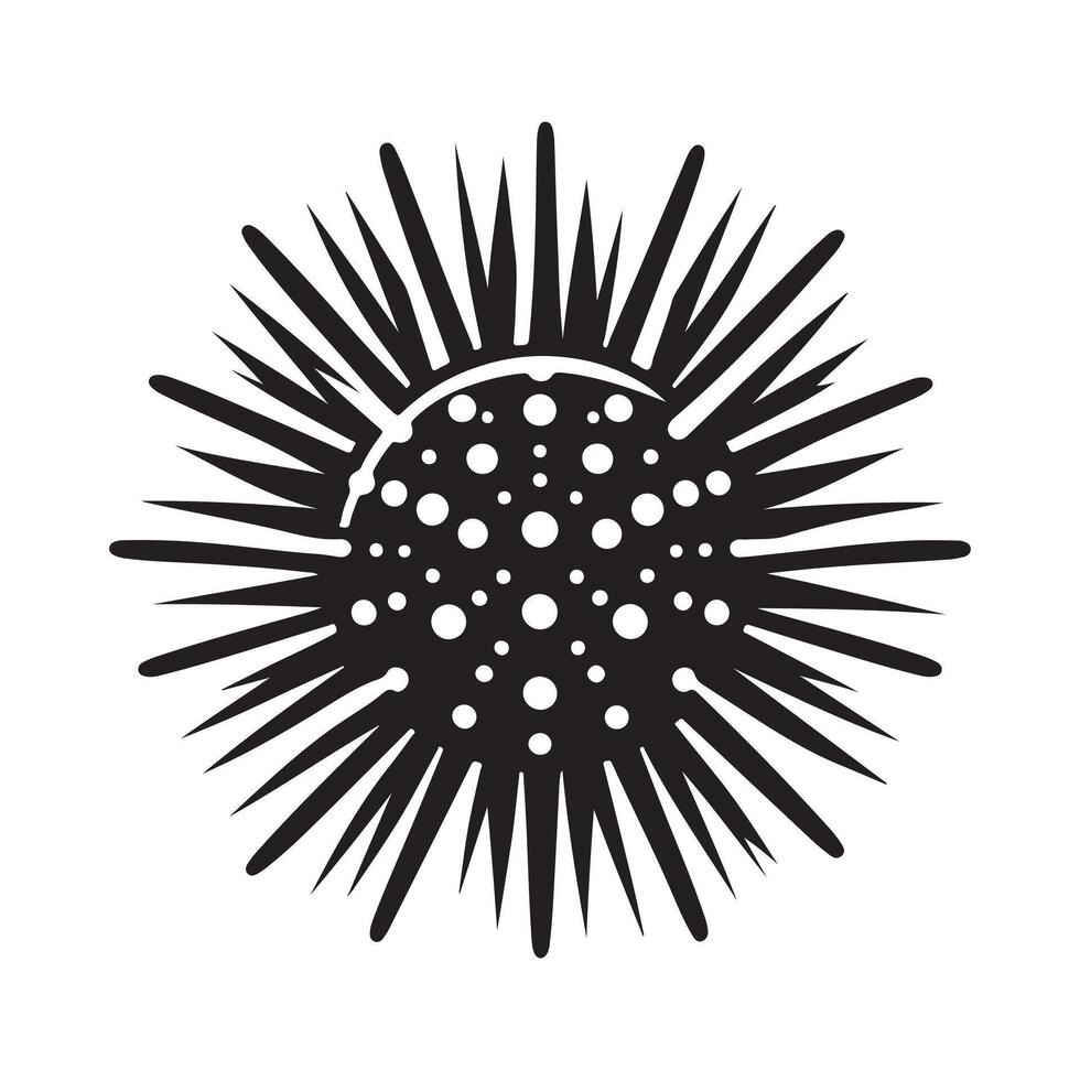 Sea Urchin Black Silhouette for Design vector