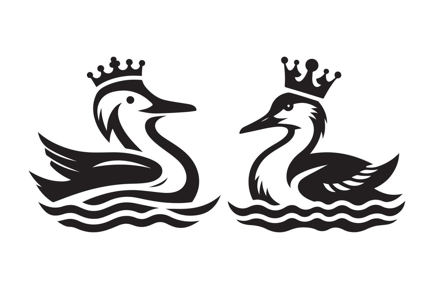 High-Resolution King Eider Black for Websites vector