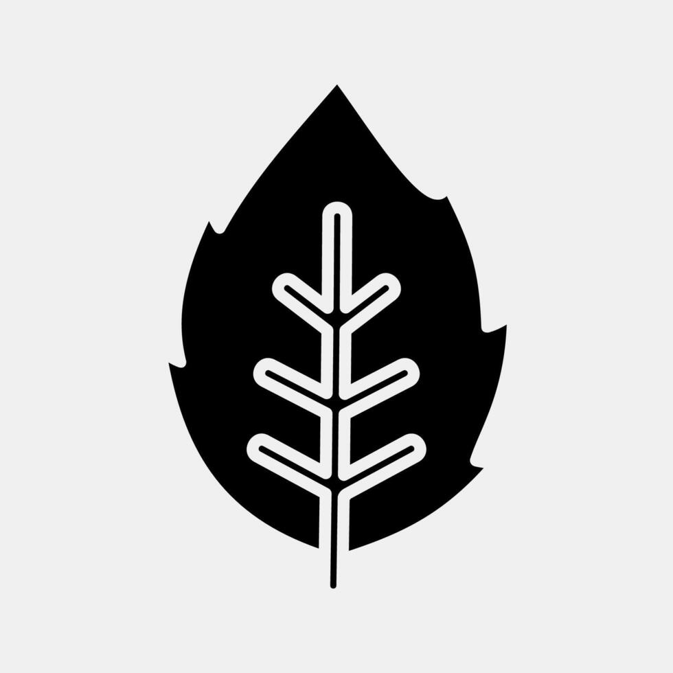 Icon mint. Plant leaves elements. Icon in glyph style. vector