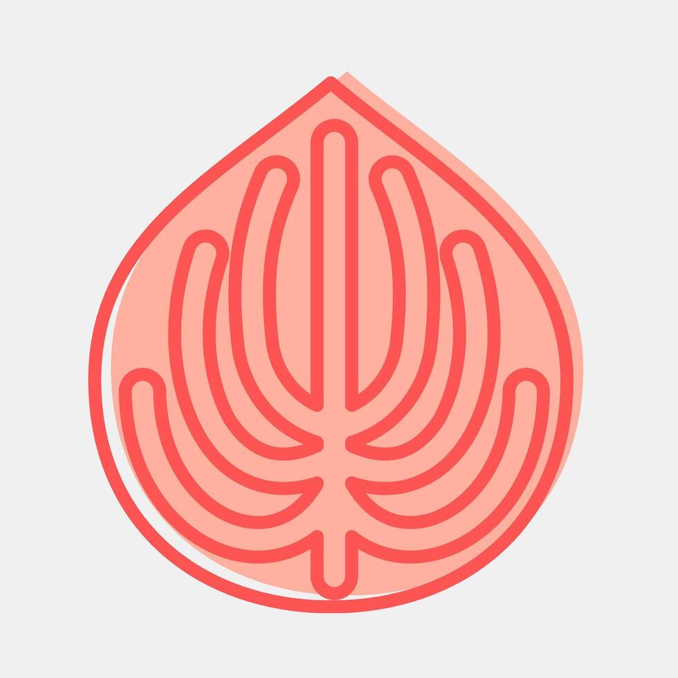 Icon peperomia. Plant leaves elements. Icon in two tone style. vector