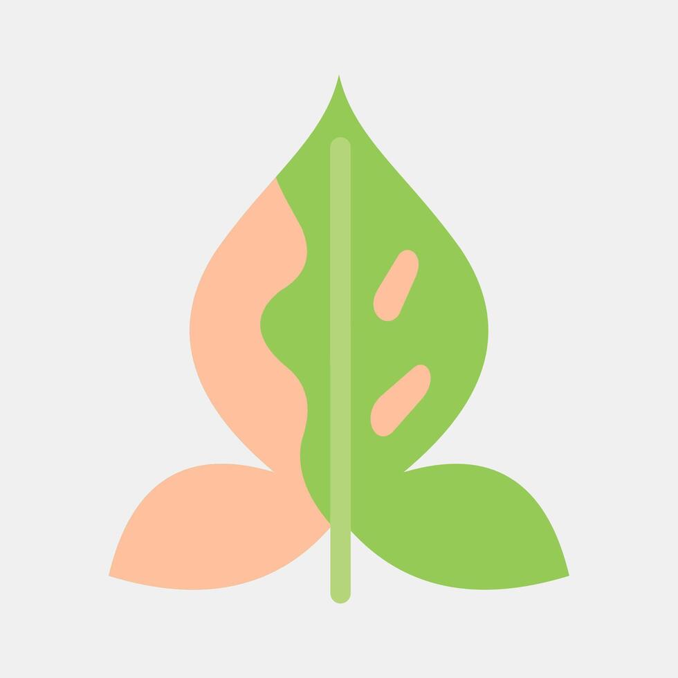 Icon syngonium. Plant leaves elements. Icon in flat style. vector