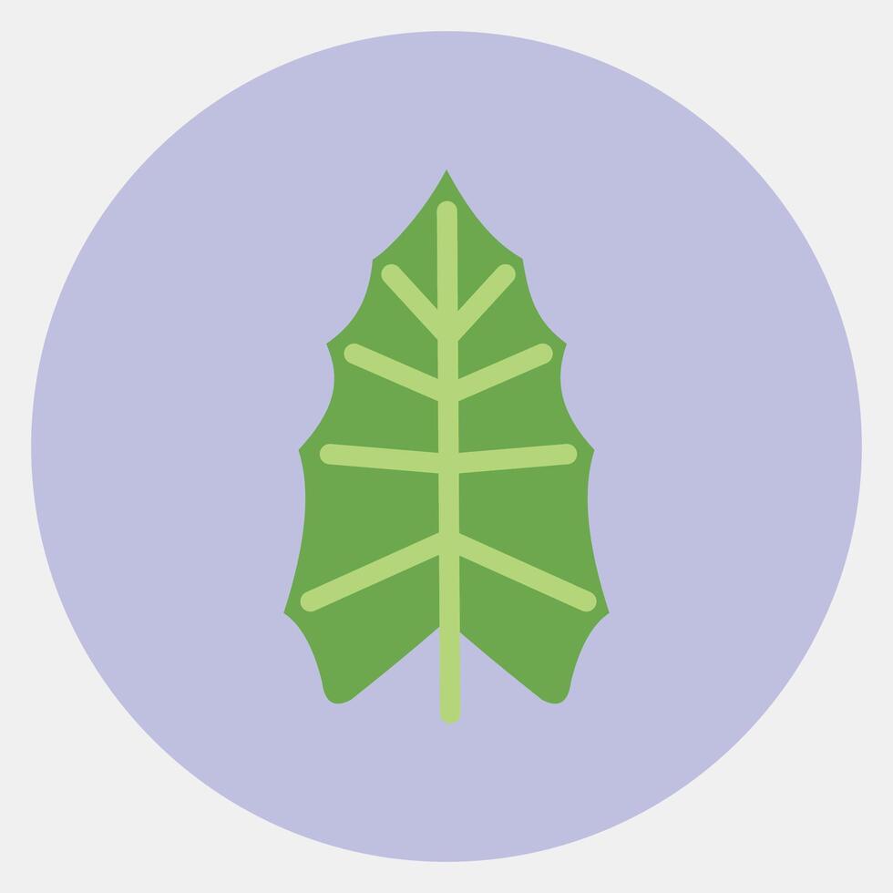 Icon alocasia. Plant leaves elements. Icon in color mate style. vector