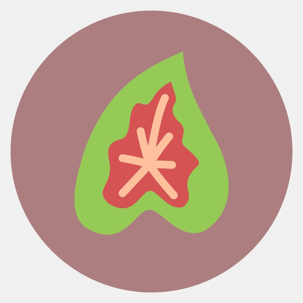 Icon caladium. Plant leaves elements. Icon in color mate style. vector