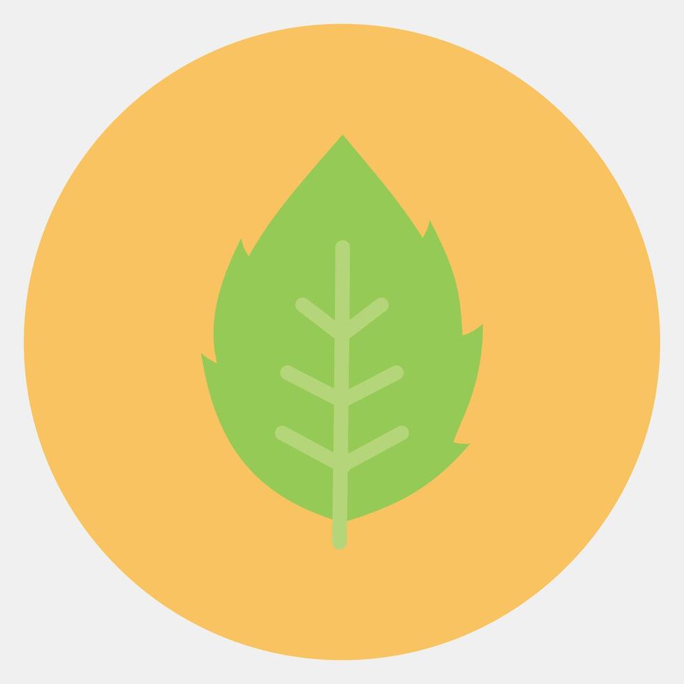 Icon mint. Plant leaves elements. Icon in color mate style. vector
