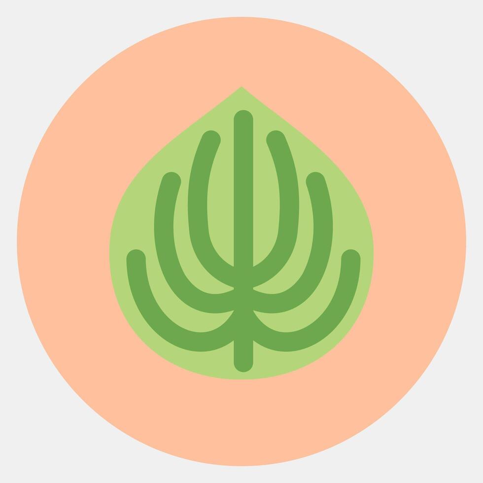 Icon peperomia. Plant leaves elements. Icon in color mate style. vector