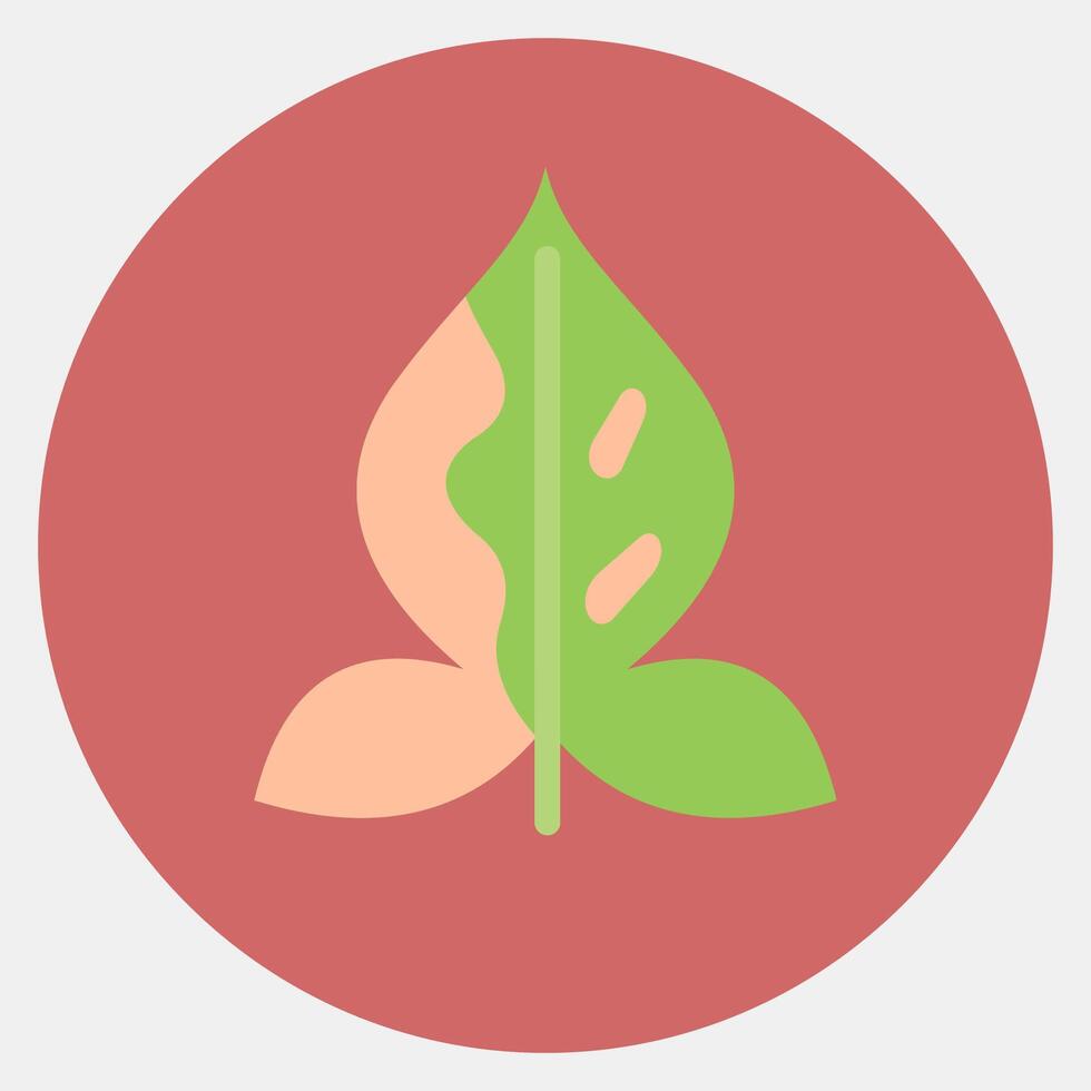 Icon syngonium. Plant leaves elements. Icon in color mate style. vector