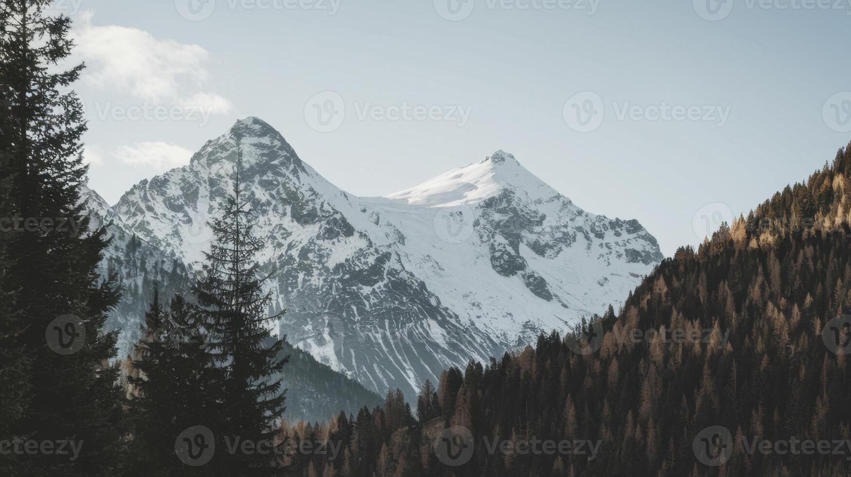 Snow-capped mountain peaks rise majestically, framed by a dense forest, creating a scenic vista. photo