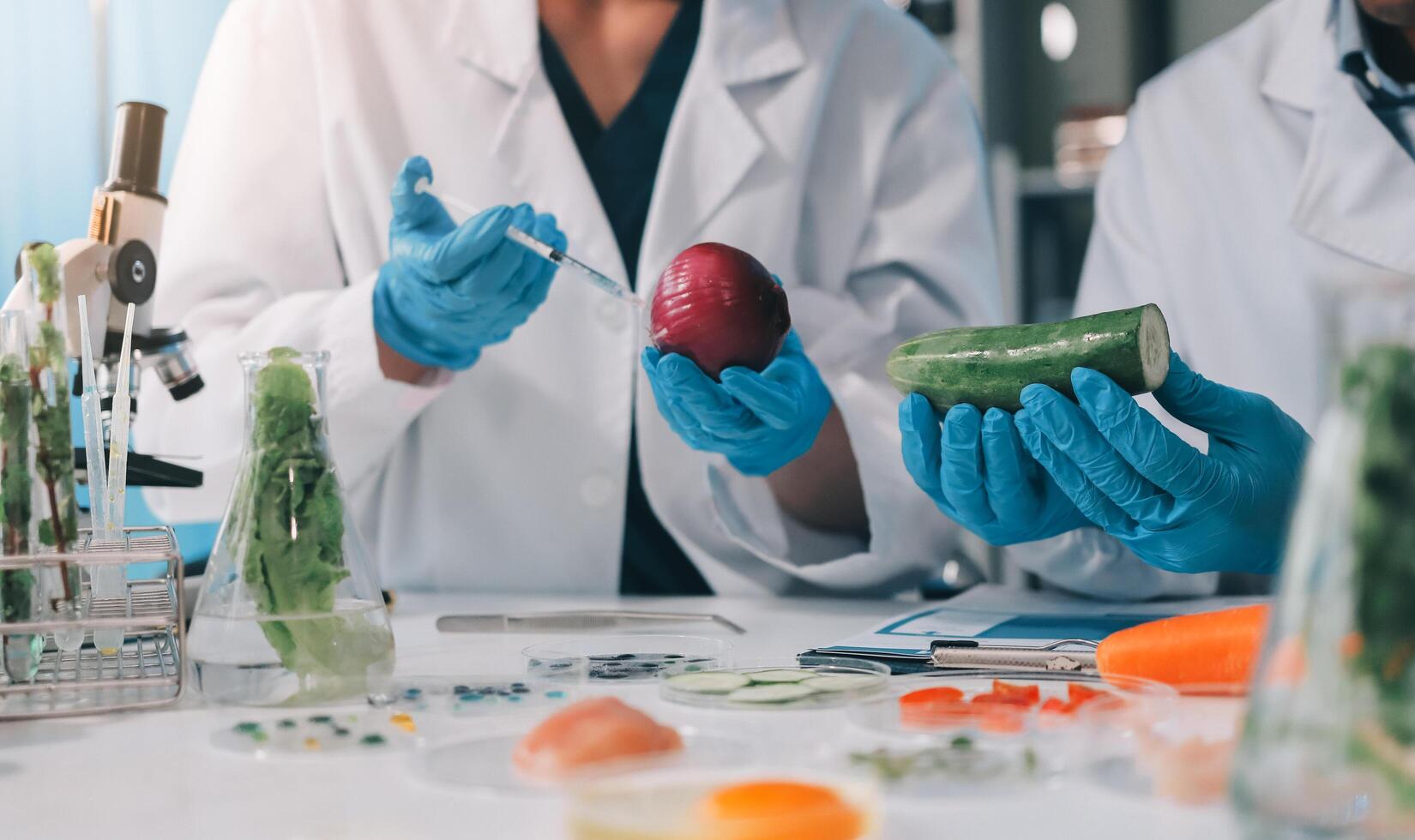 Two people in lab coats are working with vegetables photo