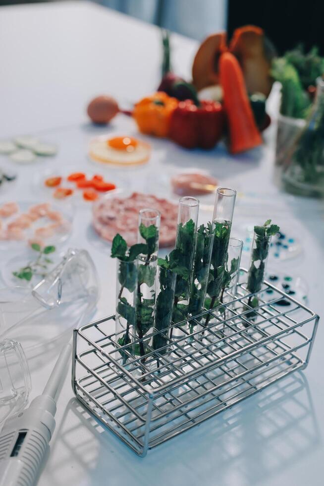 A table with a variety of food and vegetables photo