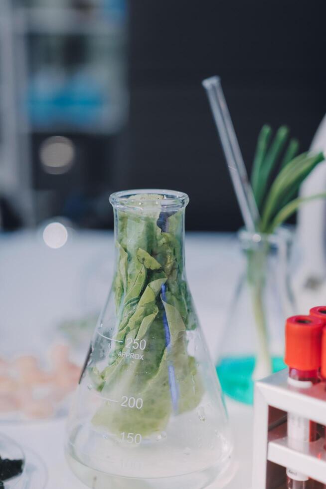 A glass beaker with a plant in it photo