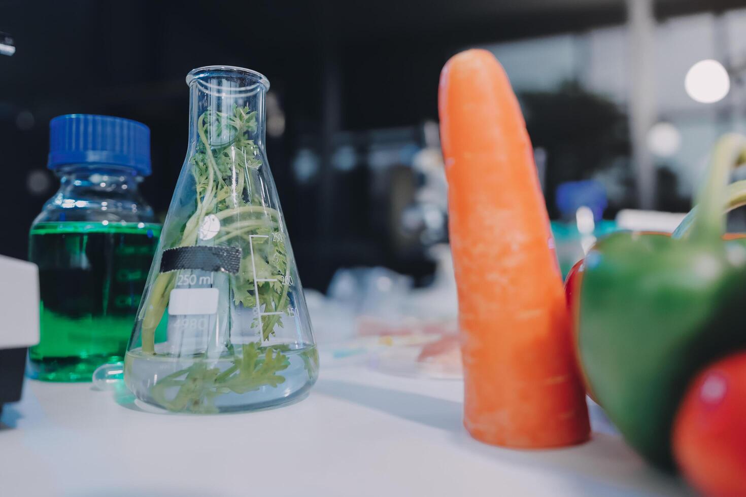 A laboratory flask with vegetables and a vegetable in it photo