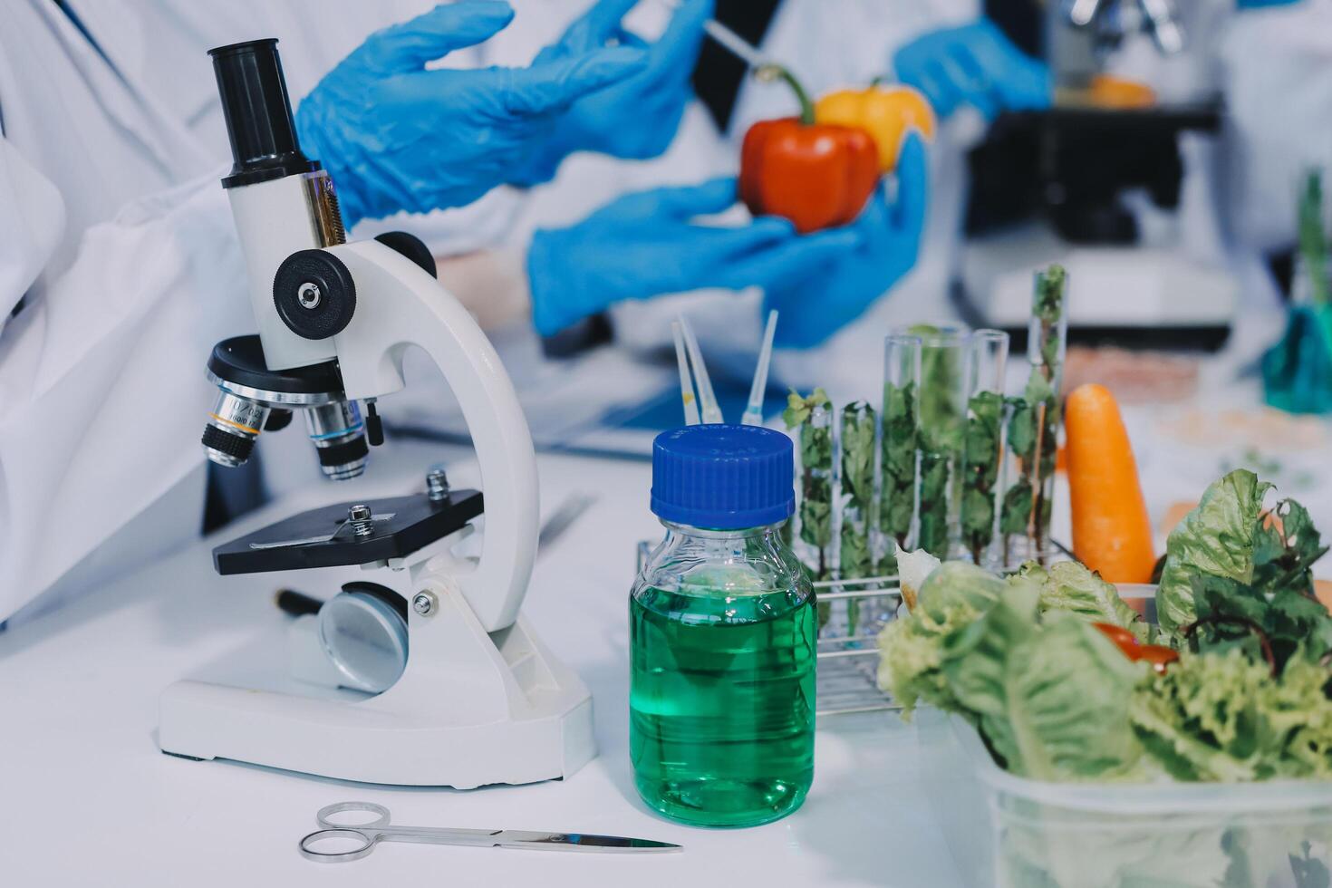 Scientists in lab coats holding up vegetables and fruit photo