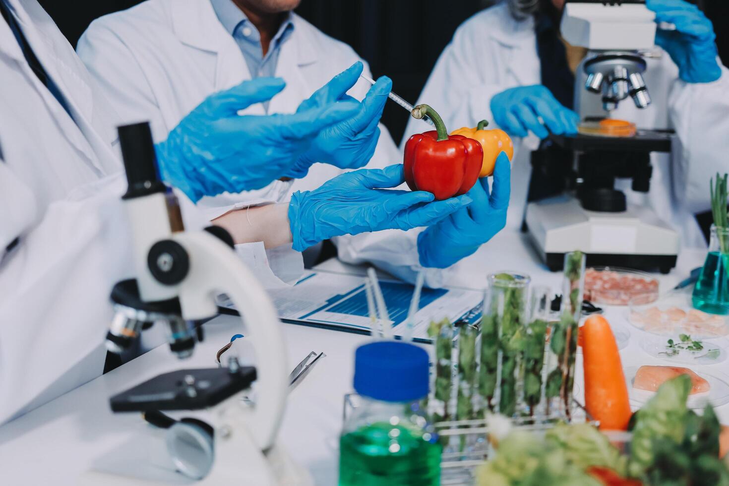 Scientists in lab coats and gloves are holding vegetables photo