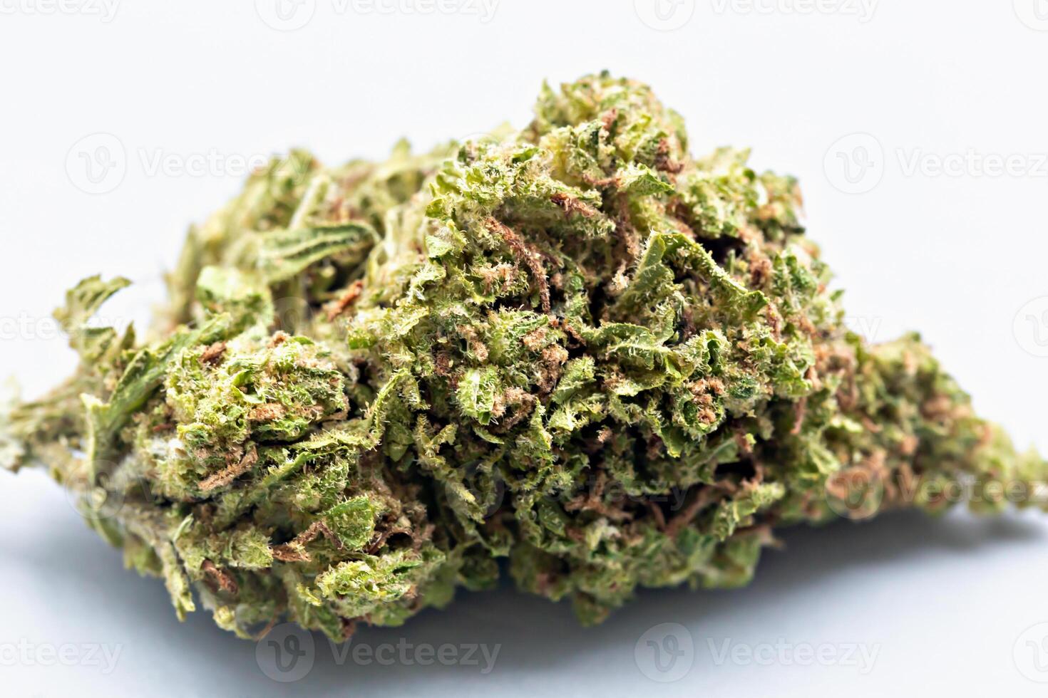 Detailed view of dried cannabis bud with trichomes on light background, perfect for medical, recreational and botanical content usage. Dry cannabis flower macro close-up photo